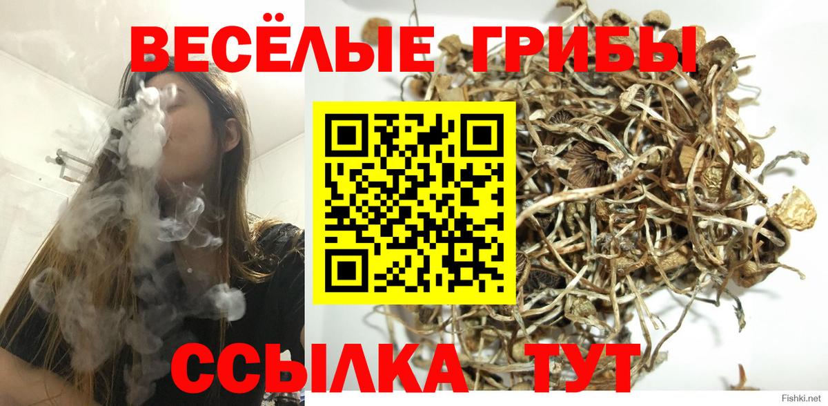 Галлюциногенные грибы Psilocybe  Вход с VPN  даркнет сайт  Туапсе 