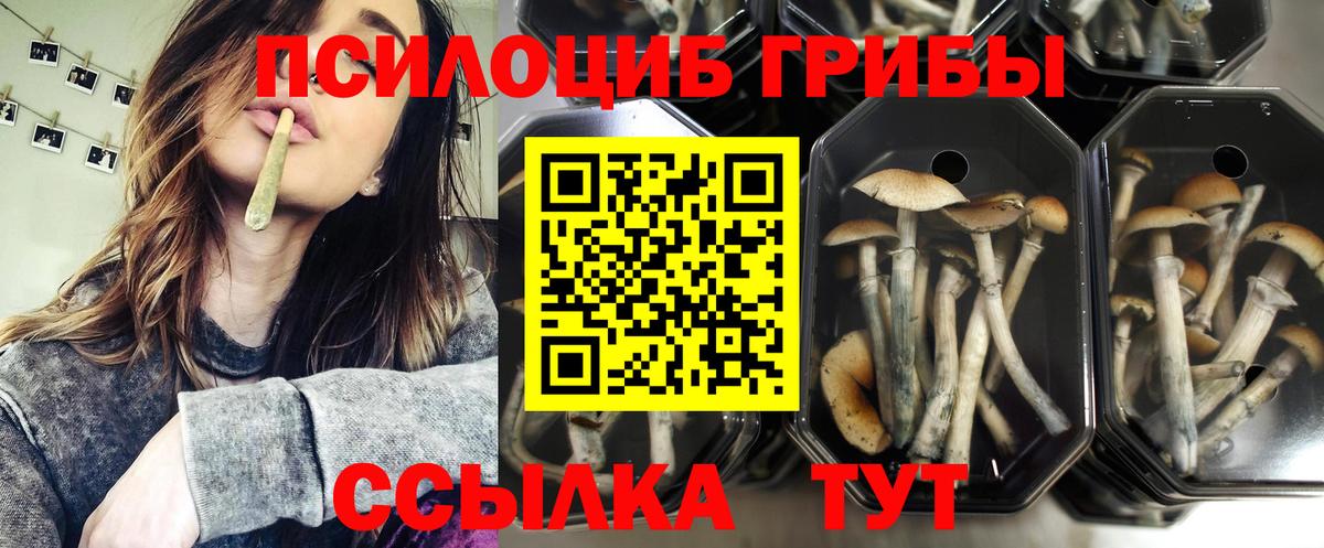 Псилоцибиновые грибы ЛСД Туапсе
